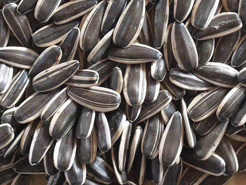 sunflower seeds 363 240-250 